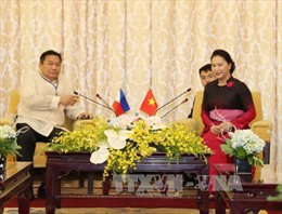 Chủ tịch Quốc hội Nguyễn Thị Kim Ngân tiếp Chủ tịch Hạ viện Philippines